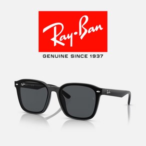 레이벤 선글라스 RB4392D-601/87 66 빅사이즈 뿔테/편광 오버핏 플랫바 선글라스 RayBan