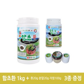 진짜배기순천만함초 진짜배기 함초환, 1kg, 1개