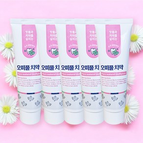 100% 천연치약 오미풀 치약, 120g, 5개