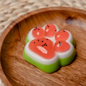 [이거쩌거] 귀여운 쫀득말랑이 스트레스해소, 1개, 50g, 수박발바닥