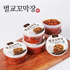 꼬마시 벌교 양념꼬막장150g x 5통, 5개