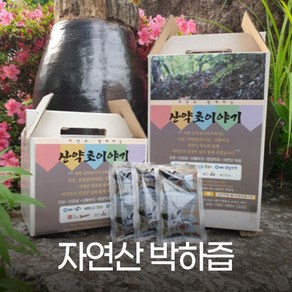 산약초이야기 자연산 박하즙 진액 엑기스 120ml 60포 1달분, 60개