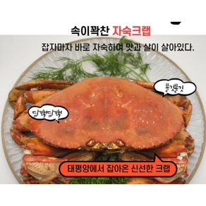 쫄깃쫄깃 속이꽉찬 담백한 신선한 왕특대 맛좋은 던전크랩