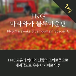 (커피생두)행복한커피 PNG 마라와카 블루마운틴 1kg