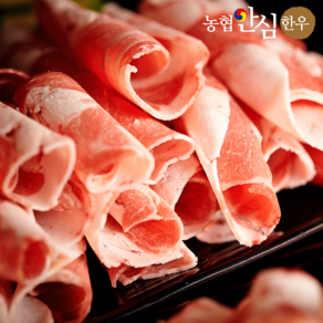 [농협안심한우] 1등급이상 한우 차돌박이 300g, 4개