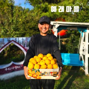 예래마을 제주 서귀포 가정용 감귤 10kg 크기랜덤