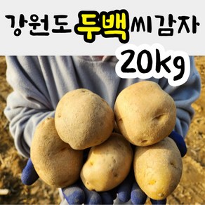 강원도 씨감자 두백 (쪄먹는용/튀김용) 20kg 분감자 감자씨 감자종자, 두백씨감자 20kg, 1개