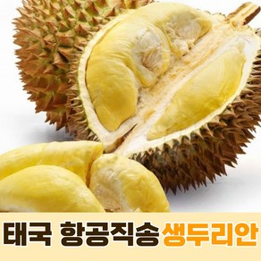 [태국항공직송] 재구매율 생두리안 duian, 2~2.5kg, 1개