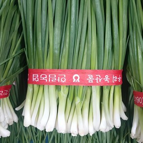 노지 햇 쪽파 깐쪽파 손질쪽파, 1개, 1kg