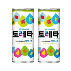 토레타 이온음료 캔, 30개, 0.24l