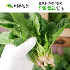 < 바른농산 > 국내산 당일수확 시금치, 1개, 500g