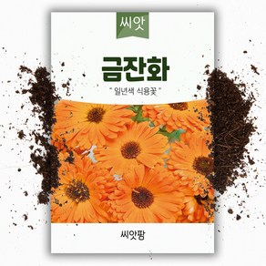 씨앗팜 야생화 꽃씨 금잔화 종자 씨앗 (200립) 국화과 한해살이 일년생, 1개