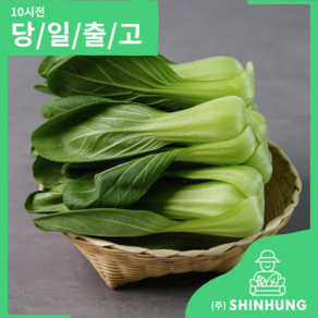 국산 청경채 [신흥유통], 1개, 2kg