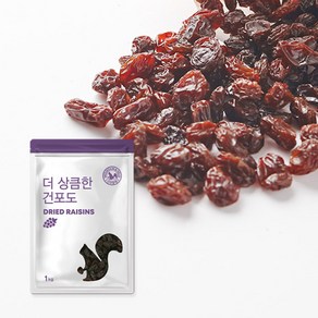 산과들에 건포도 1kg