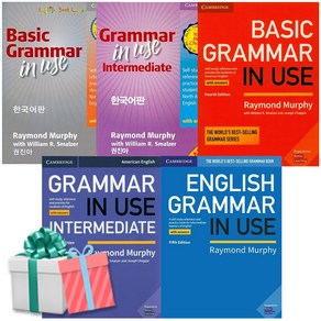 Gamma in Use / Intemediate Basic 그래머 인 유즈, 3 Basic Gamma 4/E