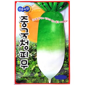 중국청피무 30g 김장무씨앗 김장씨앗 진흥종묘 24년, 1개