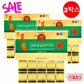 3 Box 동보내추럴 6년근 고려 홍삼영지차 100포 *3박스 홍삼차 영지차 4시이전 결제시 당일발송, 3개