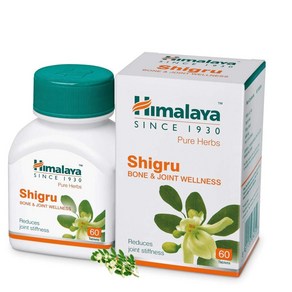 히말라야 시그루 himalaya shigru