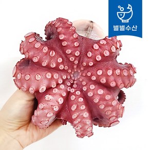 프리미엄급 자숙 통문어 300-1.3kg (소/중/특대) 손질문어 냉동문어 제수용 숙회