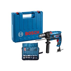 보쉬(BOSCH) GSB16RE 750W 전기 해머드릴 100PCS포함, 1개