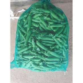 국내산 완두콩 노지 햇완두콩, 1개, 1kg