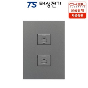 제일전기 디노 다크그레이 8P 2구, 1개