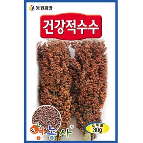 건강 적 수수 씨앗 30g, 적수수, 1개