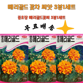 메리골드 꽃씨앗 100알 메리골드종자 금잔화 메리골드꽃씨 3봉1세트 무배, 3개
