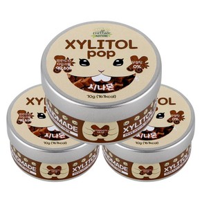 수제 장인 자일리톨 팝 캔디 사탕, 70g, 3개