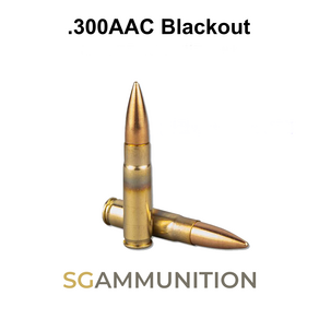 실물기반의 .300AAC Blackout 새탄피 더미탄 1발 (모형탄 모형총알 300AAC Blackout)