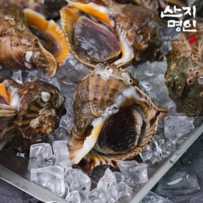 [산지명인] 자연산 참소라 태안 당일조업 빙장포장 산지직송, 1박스, (소) 13미 내외 1kg