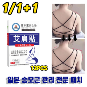 [전문관리]1/1+1 승모 승모근 패치 셀룰라이트 감소 패치 12pcs