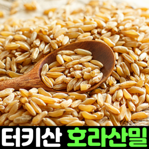 호라산밀 1kg 2kg 3kg 5kg 6kg 이집트 고대 곡물 캐나다산 터키산 호라산 호라산밀뻥 먹는법 추천 효능, 1개, 1kg(터키산)