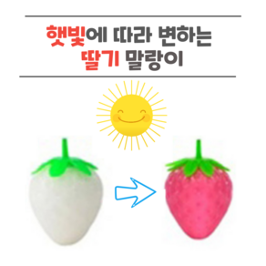 아이앤미소 햇빛에 변하는 딸기 말랑이 장난감, 1개