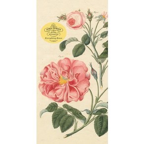 John Deian Pape Goods:Eveything Roses Notepad, Atisan Publishes