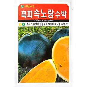 흑피속노랑수박 5립 24년 흑피수박씨앗 미니수박씨앗, 1개