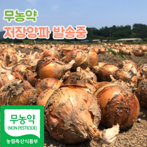 국내산 친환경 햇 양파, 1개, 2kg(중)