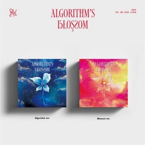 큐더블유이알 앨범 미니2집 [Algorithm's Blossom] QWER 알고리즘 일반반 Algorithm Ver. (미개봉)