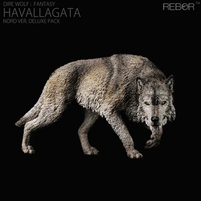 리보 REBOR/ 다이어 울프(Die Wolf) / 공룡 동물 피규어, HAVALLAGATA, 1개