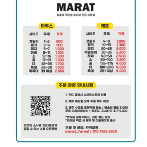 마우스 갓핑키 1-2g / 화요일 주문 마감 수요일 발송 배송비 별도 결제 필수 / 마렛트 냉동쥐 뱀먹이 냉동마우스 파충류 용품