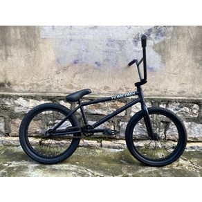 고급형 묘기 자전거 비엠엑스 BMX 무적 가격 HOME BMX v5 차량 전체 베어링 9.3 대형 핸들 바 전문 BMX Vlad 프로 테스트 S1125 16, 프레임만 따로 구매, 1개