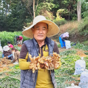 국내산 산지직송 완주 봉동 햇 생강 흙생강, 1개, 흙생강 3kg