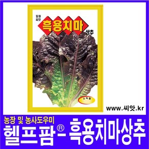 헬프팜 흑용치마상추 6g 상추 종자 씨앗 동원농산종묘, 1개