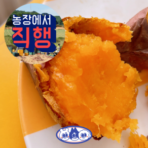 [농부직판] 해남 호풍미 속노랑 호박 고구마 5KG, 5KG(중간), 1박스