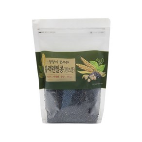 블랙 렌틸콩 500g 2개