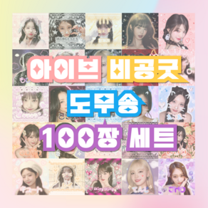 아이브 도무송 비공굿 스티커 선물세트 100장, 100장(5장x20도안)