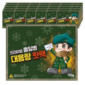 둘시스 홍일병 대용량 핫팩 100g, 30개