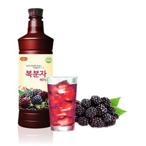 광야식품 복분자 베이스 970ml