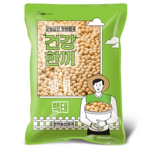 국산 백태 4kg 메주콩 노란콩 대두콩