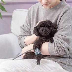 애완동물 혈압계 혈압 모니터 심박수 측정기 강아지, 1개, 단일 옵션